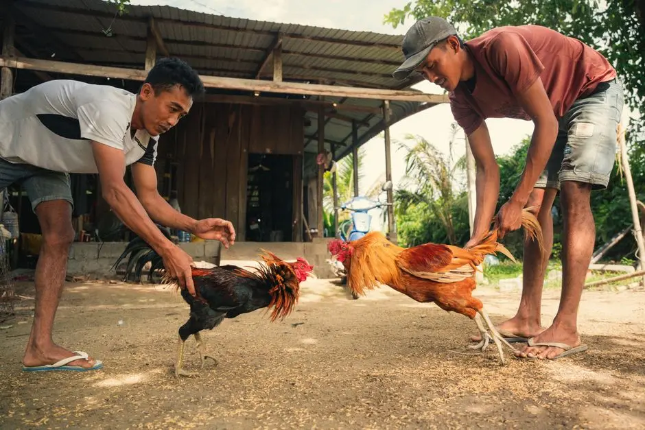 Berapa Lama Waktu yang Dibutuhkan untuk Menguasai Mekanik Dasar Game Fighting Kompleks?